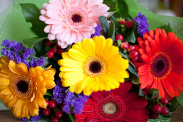 Similar image 2509428