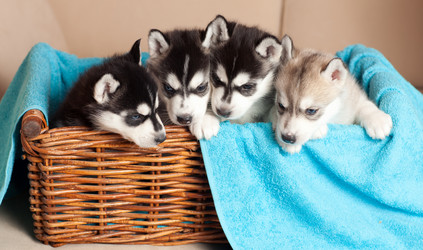 Similar image 2509578