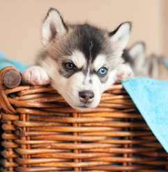 Similar image 2509579