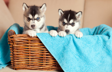 Similar image 2509580