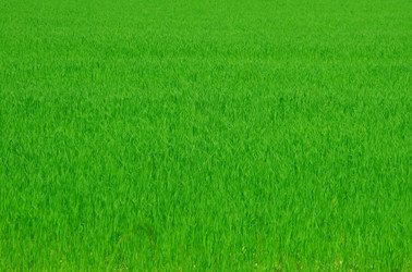 Similar image 2510290