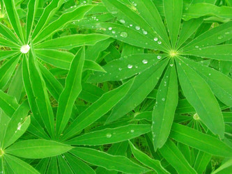 Similar image 2510292