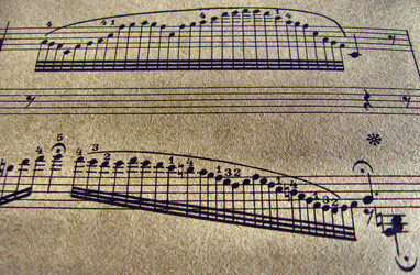 Similar image 2510295