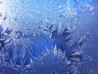 Similar image 2510312