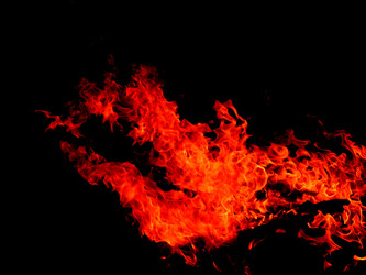 Similar image 2510376