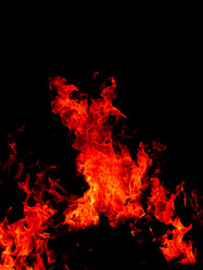 Similar image 2510378