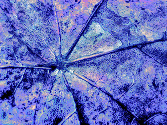 Similar image 2510383