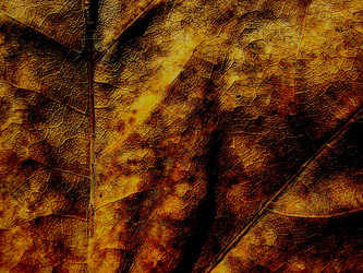 Similar image 2510384