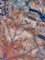 Similar image 2510385