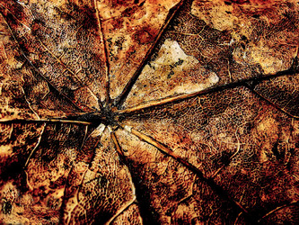 Similar image 2510393