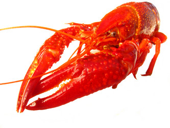 Similar image 2510449