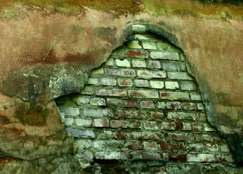 Similar image 2510460