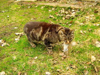 Similar image 2510462