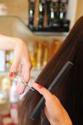 Similar image 2510804