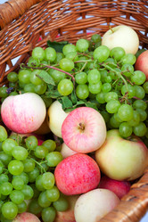 Similar image 2511072