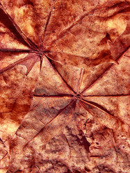 Similar image 2512814