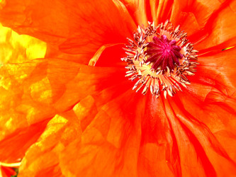 Similar image 2512840