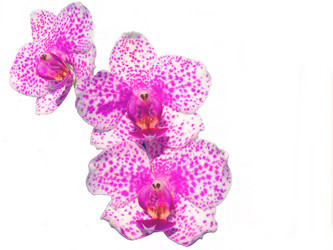 Similar image 2512843