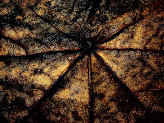 Similar image 2512845