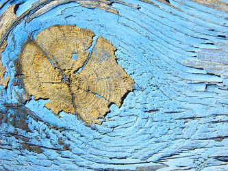 Similar image 2513232