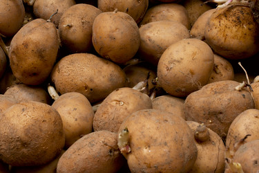 Similar image 2513697