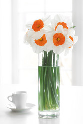 Similar image 2513707