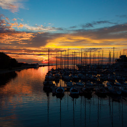 Similar image 2513716