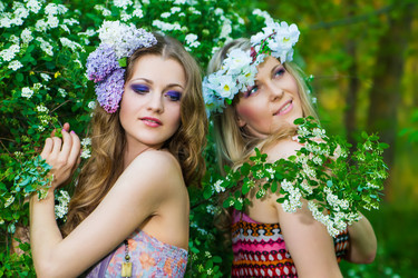 Similar image 2513831