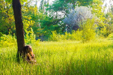 Similar image 2513891