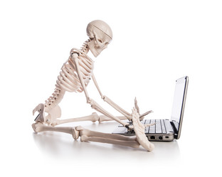 Similar image 2514061