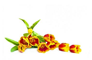 Similar image 2514062