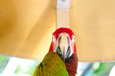 Similar image 2514473