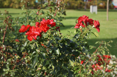 Similar image 2514926