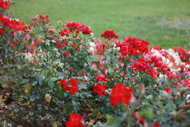 Similar image 2514928