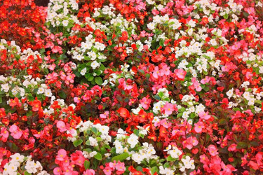 Similar image 2514929