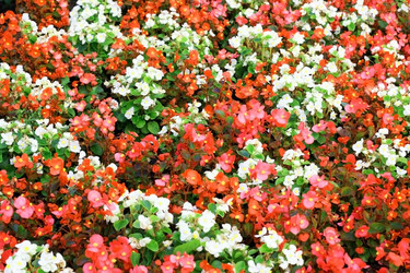 Similar image 2514930