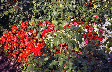 Similar image 2514932