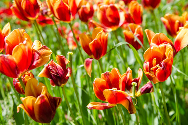 Similar image 2514966