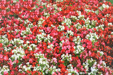 Similar image 2517607