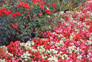 Similar image 2517608