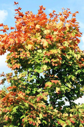 Similar image 2517617