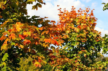 Similar image 2517625