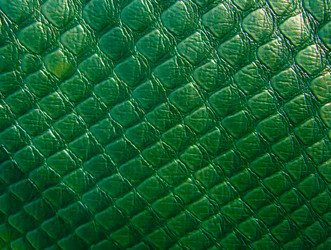 Similar image 2517698