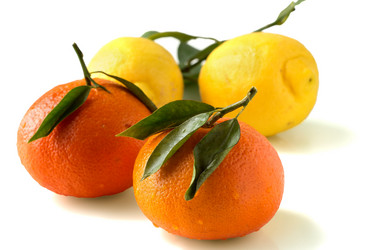 Similar image 2517903