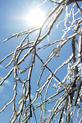 Similar image 2517992