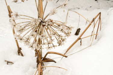 Similar image 2518291