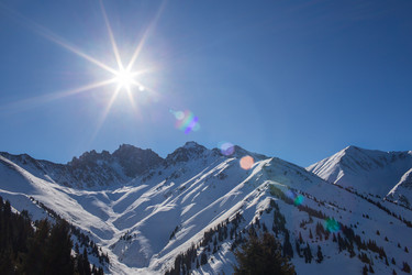 Similar image 2518299