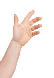 Similar image 2518429