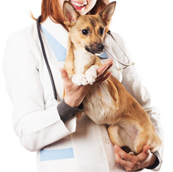 Similar image 2518450