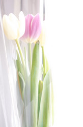 Similar image 2528942